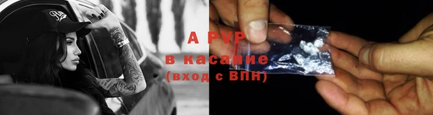 кокс Баксан