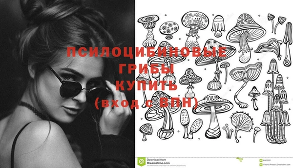 первитин Белоозёрский