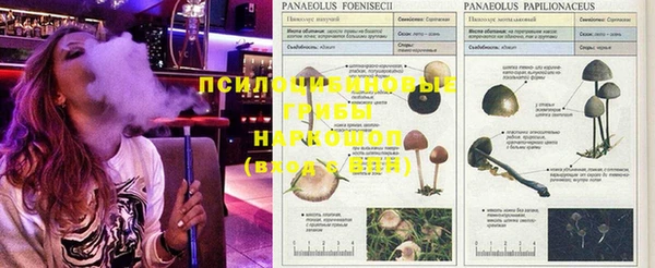 эйфоретик Балабаново